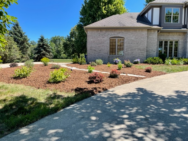 Picture of some trimmed shrubs