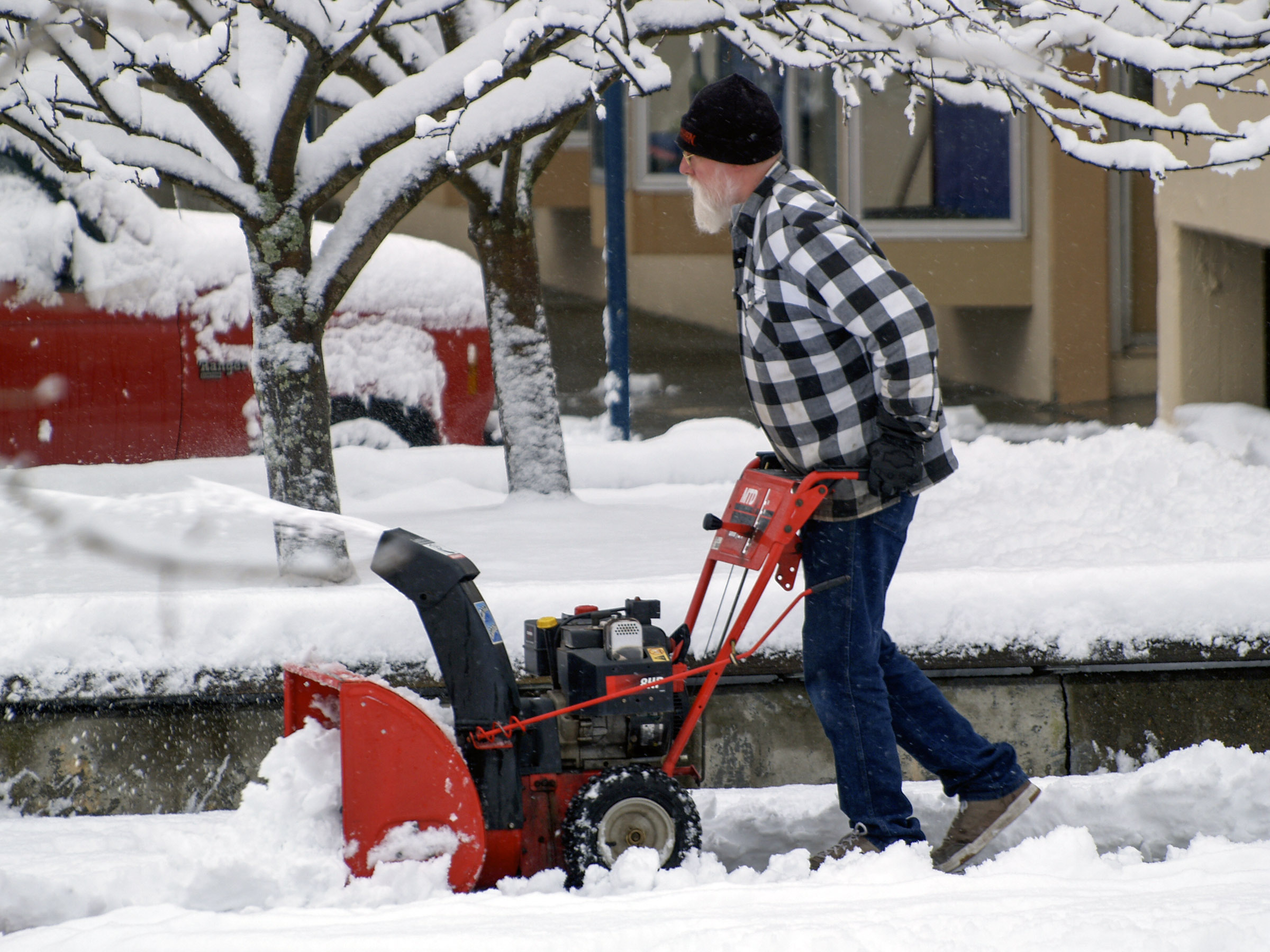 Picture of some trimmed shrubs
